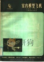 室内模型飞机（1981 PDF版）