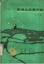 爱情从这里开始（1983 PDF版）