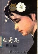 白菊花 儿童革命斗争故事集 1981 PDF电子版封面 10100·521 本社编