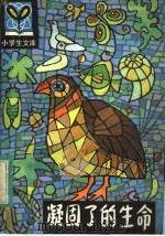 凝固了的生命   1984  PDF电子版封面  R7093·883  张玉璇著 