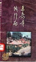 东岳寺 城隍庙 PDF电子版封面 王亚菲主编;黄剑青,陈子川副主编