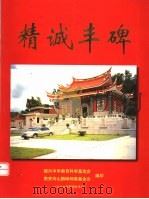 精诚丰碑 1999 PDF电子版封面 振兴中华教育科学基金会,南安诗山鹏峰郎裔基金会编
