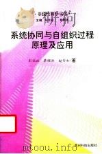 系统协同与自组织过程原理及应用   1998  PDF电子版封面  7805848114  彭仕政等著 