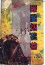 朦胧烟花巷 1994 PDF电子版封面 7531707691 虞生,周冰冰著