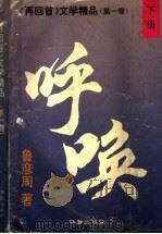 呼唤 1995 PDF电子版封面 7800824926 丁洪章,李边主编
