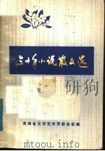 三十年小说散文选（ PDF版）