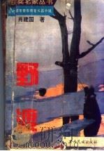 当代都市青年情爱长篇小说  野渡（ PDF版）
