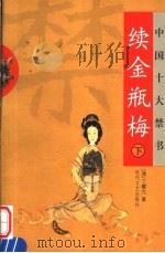 中国十大禁书  续金瓶梅  下（ PDF版）