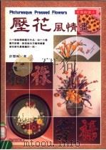 花艺教室 压花风情画 1995 PDF电子版封面 9577940625 彭慧婉著