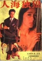 人海独狼 1997 PDF电子版封面 7104008322 晓剑著