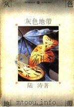 灰色地带 1997 PDF电子版封面 7531317532 陆涛著