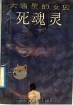 死魂灵  大墙里的女囚（1992 PDF版）