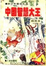 中国智慧大王 插图本 1995 PDF电子版封面 7805922578 文雅主编