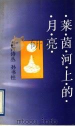 莱茵河上的月亮 1991 PDF电子版封面 7536616058 孙书柱著