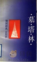 墓塔林 1991 PDF电子版封面 7536616066 玉川平著