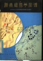 肺癌细胞学图谱（1980 PDF版）