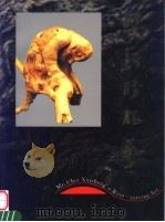 柴新胜根艺 1993 PDF电子版封面 7540103809 刘剑编