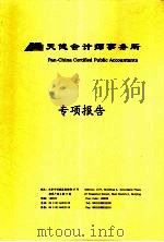 天健会计师事务所  专项报告（ PDF版）