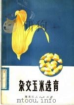 杂交玉米选育（1974 PDF版）