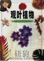 观叶植物 1999 PDF电子版封面 7534920094 卢思聪等编著