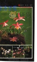 东方兰花  兰花的鉴赏与栽培（1992 PDF版）