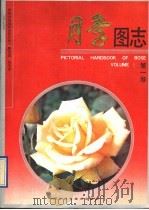 月季图志 第1卷（1991 PDF版）