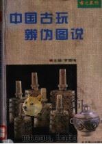 中国古玩辨伪图说 1995 PDF电子版封面 7540200197 李雪梅主编