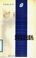 青年亚文化巡礼 1988 PDF电子版封面 7204004957 任亚平著