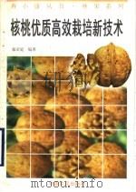 核桃优质高效栽培新技术（1996 PDF版）