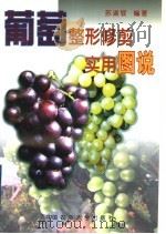 葡萄整形修剪实用图说（1999 PDF版）