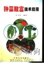 种菜致富技术指南 1999 PDF电子版封面 7109056015 汪兴汉编著