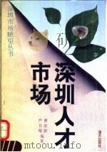 深圳人才市场 1993 PDF电子版封面 7805427569 曹荣新,严书翔编著