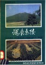 魂丧秦陵 陕西地区典型案件审判纪实 1993 PDF电子版封面 7800561771 焦郎亭主编