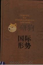 国际形势年鉴 1995 1995 PDF电子版封面 7532039641 陈佩尧主编;上海国际问题研究所编