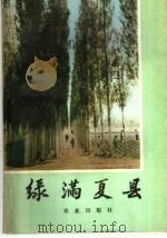 绿满夏县 1977 PDF电子版封面 3144·190 林林,杨杨著