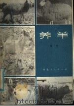 养羊（1982 PDF版）