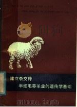 建立杂交种半细毛养羊业的遗传学基础 1980 PDF电子版封面 16096·65 (苏)斯塔坎(Г.А.смакан)等著;魏怀方译