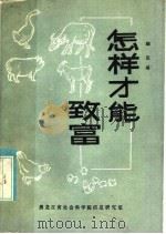 怎样才能致富（1985 PDF版）