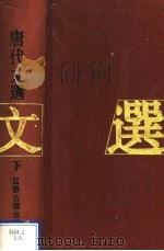 唐代文选 下 1994 PDF电子版封面 7805195315 孙望,郁贤皓主编