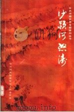 沙颍河怒涛   1990  PDF电子版封面  7215012447  应时雨，张志功主编；刘西森副主编 