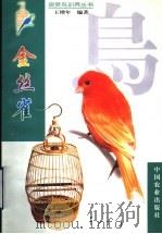 金丝雀（1999 PDF版）