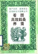看图高效栽桑养蚕（1995 PDF版）