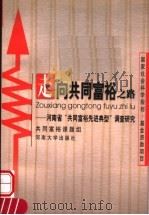 走向共同富裕之路 河南省“共同富裕先进典型”调查研究 1999 PDF电子版封面 7810416553 共同富裕课题组编