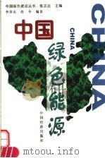 中国绿色能源 1999 PDF电子版封面 7501746052 李世东,段华编著