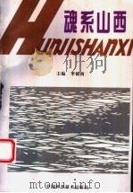 魂系山西 1995 PDF电子版封面 7504619590 李镇西主编