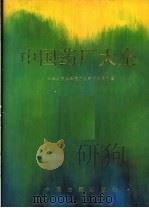 中国药厂大全 1993 PDF电子版封面 7800134210 中华人民共和国卫生部药政局主编