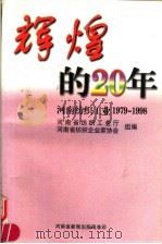 辉煌的20年（ PDF版）