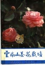 云南山茶花栽培（1985 PDF版）
