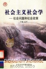 社会主义社会学  社会问题和社会政策  第2版（1999 PDF版）