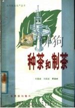 种茶和制茶（1983 PDF版）